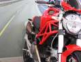 Ducati Monster 696 Plus - 2010 - km 12206 Rosso - thumbnail 10