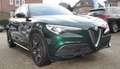 Alfa Romeo Stelvio 2.2 Turbodiesel 190 CV AT8 Q4 Sprint Verde - thumbnail 3