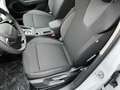 Skoda Octavia 1,5 TSI DSG Selection Combi + AHK + LED + App-Conn Blanco - thumbnail 18