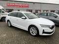 Skoda Octavia 1,5 TSI DSG Selection Combi + AHK + LED + App-Conn Blanco - thumbnail 27
