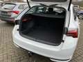 Skoda Octavia 1,5 TSI DSG Selection Combi + AHK + LED + App-Conn Blanco - thumbnail 22