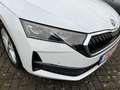 Skoda Octavia 1,5 TSI DSG Selection Combi + AHK + LED + App-Conn Blanco - thumbnail 26