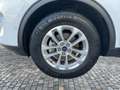 Ford Kuga PHEV Titanium Navi 2xKamera Voll-LED Sitzh. Blanco - thumbnail 19