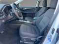 Ford Kuga PHEV Titanium Navi 2xKamera Voll-LED Sitzh. Blanco - thumbnail 9