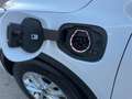 Ford Kuga PHEV Titanium Navi 2xKamera Voll-LED Sitzh. Blanco - thumbnail 26