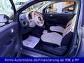 Fiat 500 Automatik Klima Panorama Glasdach Gris - thumbnail 9