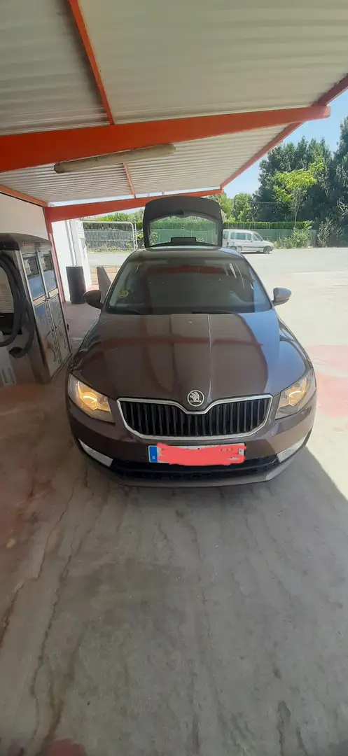 Skoda Octavia Octavia 1.6TDI CR Active 105 Active Marrone - 1