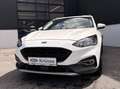 Ford Focus Active Weiß - thumbnail 2