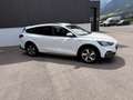 Ford Focus Active Weiß - thumbnail 5
