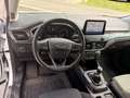Ford Focus Active Weiß - thumbnail 6
