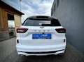 Ford Kuga ST-Line 1,5 Ecob. 150PS WOW AKTION Weiß - thumbnail 16