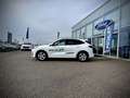 Ford Kuga ST-Line 1,5 Ecob. 150PS WOW AKTION Weiß - thumbnail 4