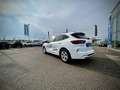 Ford Kuga ST-Line 1,5 Ecob. 150PS WOW AKTION Weiß - thumbnail 5