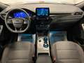 Ford Kuga 2.0 Diesel Automatico ST-Line X StraFull 2WD Gris - thumbnail 7