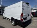 Fiat Ducato Maxi L5H2 Wit - thumbnail 7