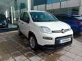 Fiat Panda 1.0 Gse Hybrid Pack Comfort Plus Wit - thumbnail 1