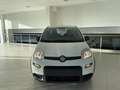 Fiat Panda 1.0 Gse Hybrid Pack Comfort Plus Wit - thumbnail 3