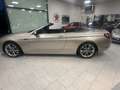 BMW 640 640d Cabrio xdrive Futura auto Bronze - thumbnail 3