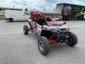 Polaris RZR 1000 XP 4 PRO  Spezial Dynamic Plus Rouge - thumbnail 7