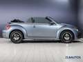 Volkswagen Beetle Beetle Cabriolet 1.2 TSI Klima/PDC/SHZ/Tempomat Blau - thumbnail 5