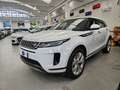 Land Rover Range Rover Evoque Evoque 2.0d i4 mhev SE awd 180cv auto Bianco - thumbnail 2