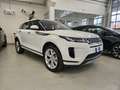 Land Rover Range Rover Evoque Evoque 2.0d i4 mhev SE awd 180cv auto Bianco - thumbnail 1