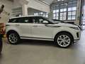 Land Rover Range Rover Evoque Evoque 2.0d i4 mhev SE awd 180cv auto Bianco - thumbnail 15