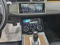Land Rover Range Rover Evoque Evoque 2.0d i4 mhev SE awd 180cv auto Bianco - thumbnail 8