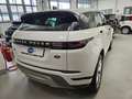 Land Rover Range Rover Evoque Evoque 2.0d i4 mhev SE awd 180cv auto Bianco - thumbnail 5