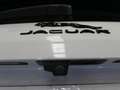 Jaguar F-Pace 2.0D I4 204PS AWD Auto MHEV R-Dynamic SE Blanco - thumbnail 8