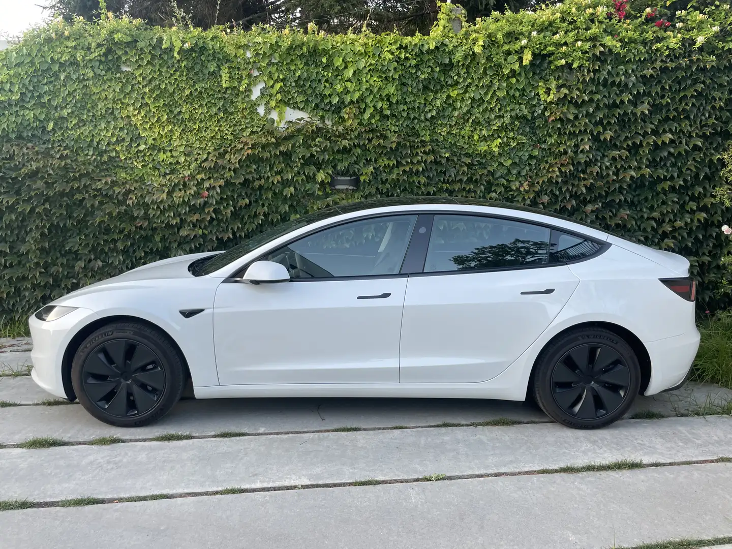Tesla Model 3 Standard Range Premium RWD - 2