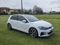 Volkswagen Golf GTI 5p 2.0 tsi Performance 245cv dsg - thumbnail 1