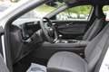 Renault Austral EVOLUTION 140 CV TCE MILD HYBRID CAMÉRA GRAND GPS  Wit - thumbnail 9