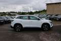 Renault Austral EVOLUTION 140 CV TCE MILD HYBRID CAMÉRA GRAND GPS  Wit - thumbnail 5