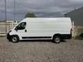 Fiat Ducato Fiat Ducato Maxi 35 xl L4 H2 2.2 MJT³ 140CV Blanc - thumbnail 4
