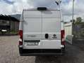 Fiat Ducato Fiat Ducato Maxi 35 xl L4 H2 2.2 MJT³ 140CV Blanc - thumbnail 5