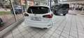 Ford Focus ST-Line Turnier Style Wit - thumbnail 4