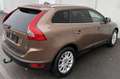 Volvo XC60 Summum AWD Brown - thumbnail 12