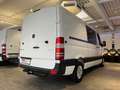 Mercedes-Benz Sprinter 313/316 CDI *Lang*Garantie*AHK=3.500Kg Blanc - thumbnail 10