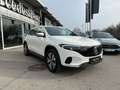 Mercedes-Benz EQA 250 Österreich-Edition Navi Rückfahrkamera Weiß - thumbnail 5