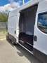 Iveco Daily Furgone Bianco - thumbnail 5