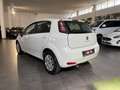 Fiat Punto Punto 1.4 S&S 8V Dualogic 5 porte Lounge Weiß - thumbnail 7