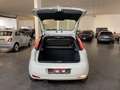 Fiat Punto Punto 1.4 S&S 8V Dualogic 5 porte Lounge Weiß - thumbnail 22