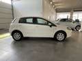 Fiat Punto Punto 1.4 S&S 8V Dualogic 5 porte Lounge Weiß - thumbnail 4