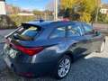 SEAT Leon Leon IV 2020  2.0 tdi Business 115cv Gris - thumbnail 9