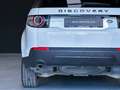 Land Rover Discovery Sport 2.0L TD4 150CV 4x4 HSE 7plz Blanco - thumbnail 24