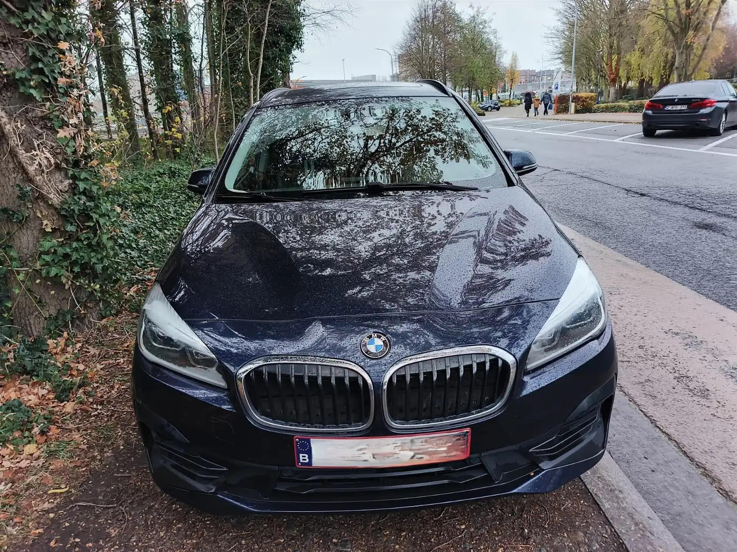 BMW 216 Gran Tourer 216 d AdBlue (EU6d-TEMP) Blauw - 1