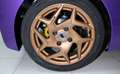 Casalini Sonstige - thumbnail 19