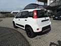 Fiat Panda Panda 0.9 TwinAir Turbo S&S 4x4 Blanco - thumbnail 6