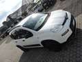 Fiat Panda Panda 0.9 TwinAir Turbo S&S 4x4 Blanco - thumbnail 3